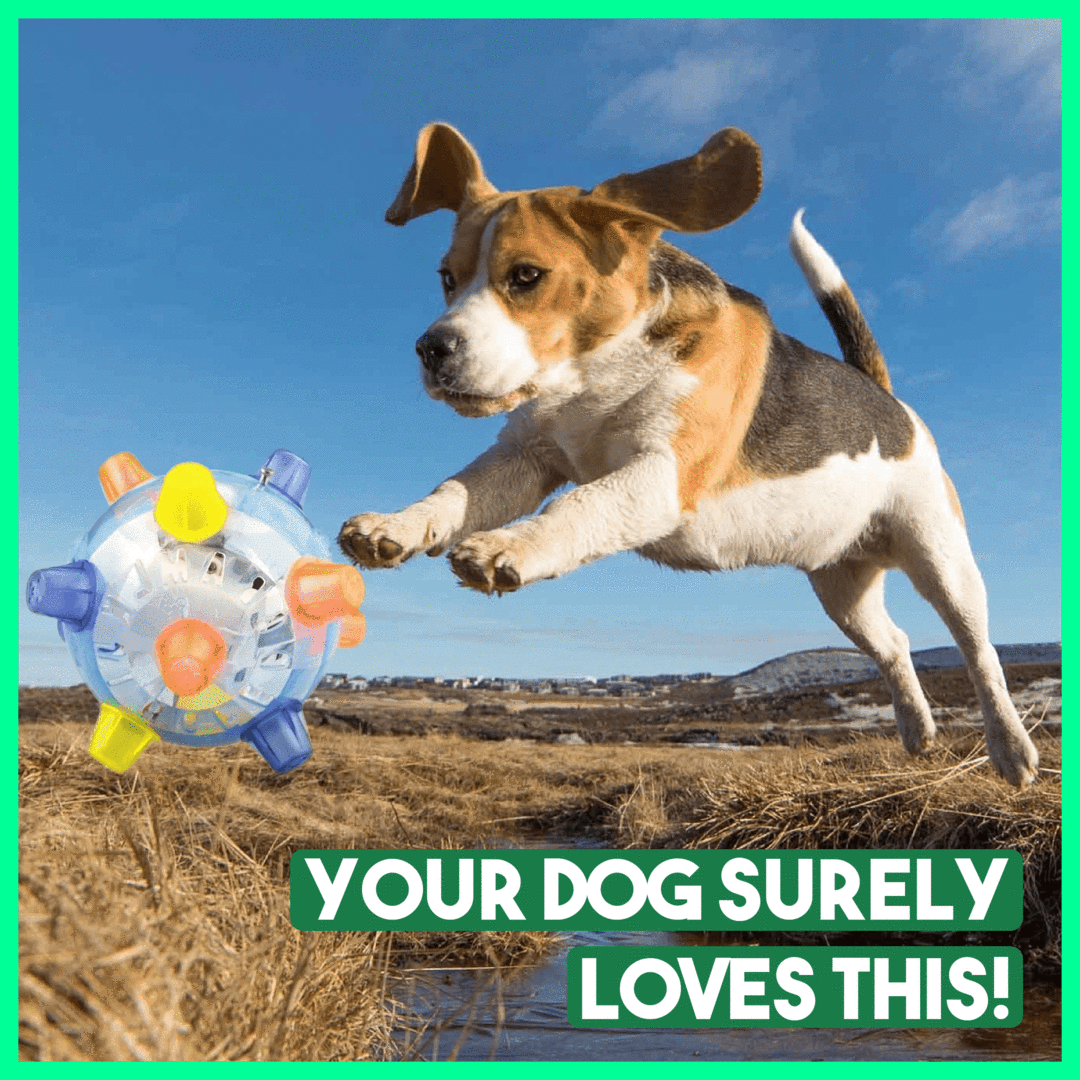 š»Jumping Activation Ball For Dogs And Catsš¶