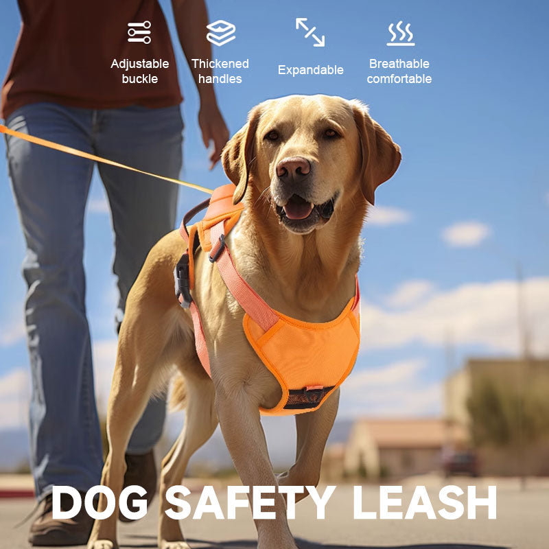 ๐พ2 in 1 Dog Harness with Integrated Leash