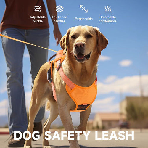 ๐พ2 in 1 Dog Harness with Integrated Leash