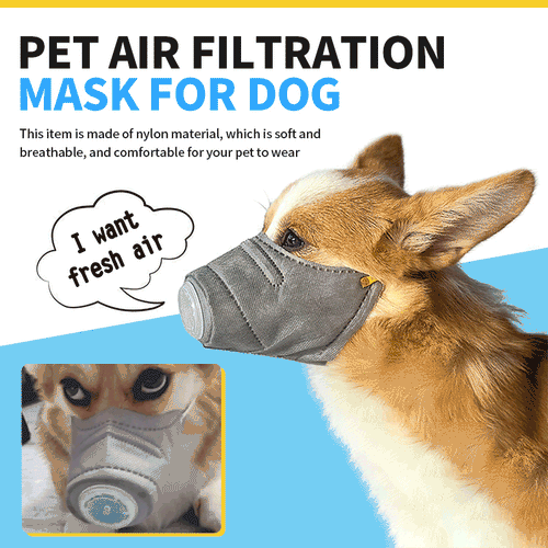 ๐พPet Air Filtration Mask for Dog