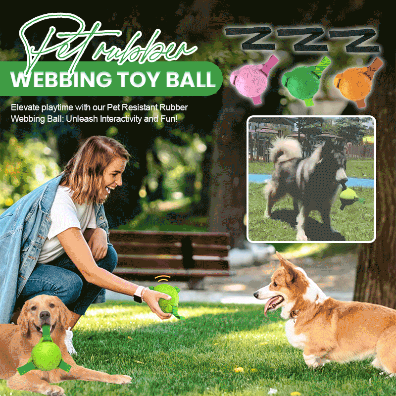 ๐พPet Rubber Webbing Toy Ball