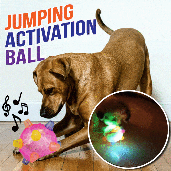 š»Jumping Activation Ball For Dogs And Catsš¶