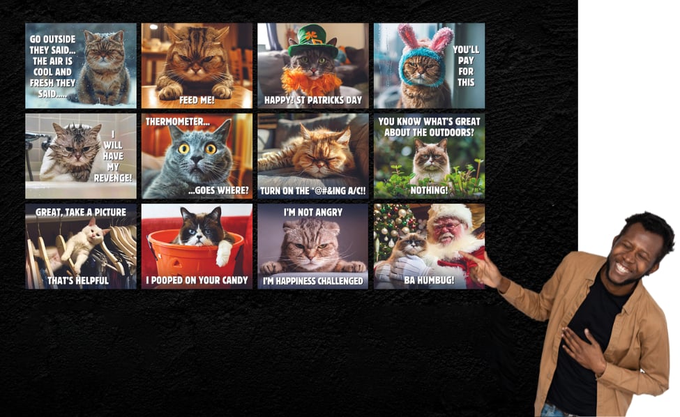 ๐พ2025 Peed-Off Cats Calendar - Funny Cat Themed Gifts For Cat Lovers