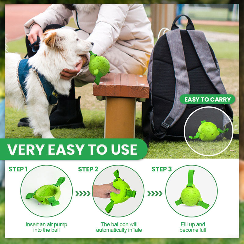 ๐พPet Rubber Webbing Toy Ball