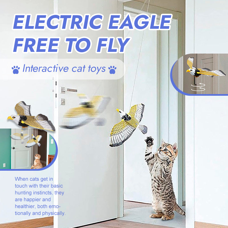 ๐พCat Flying Toy