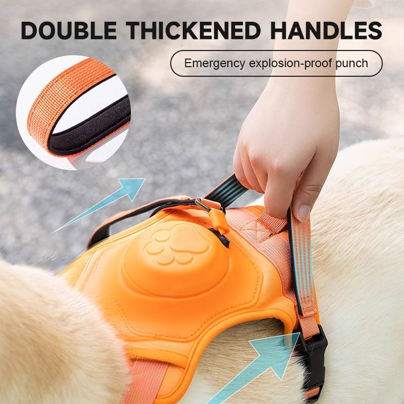 ๐พ2 in 1 Dog Harness with Integrated Leash
