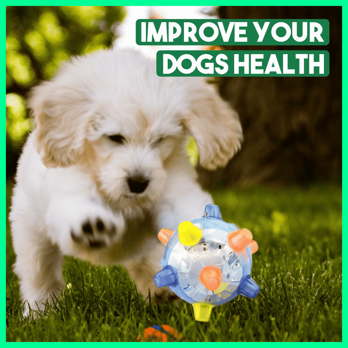 š»Jumping Activation Ball For Dogs And Catsš¶