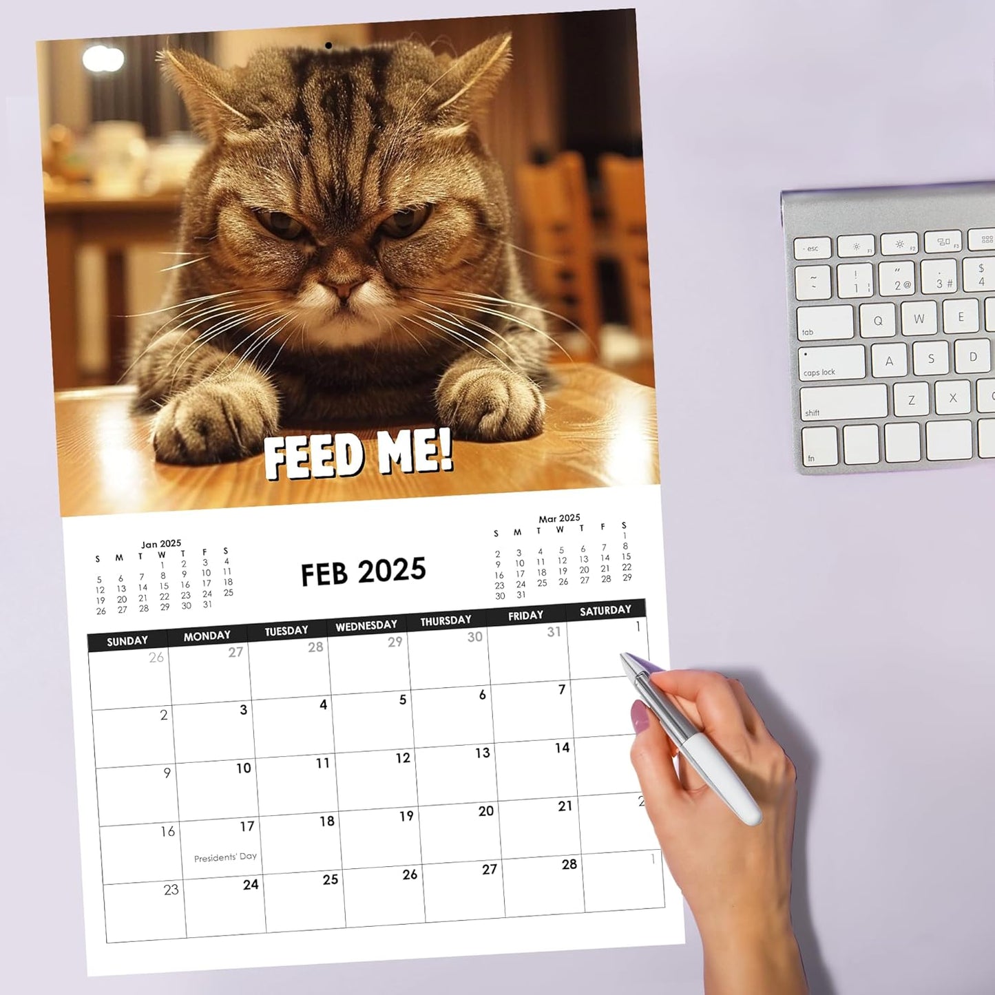 ๐พ2025 Peed-Off Cats Calendar - Funny Cat Themed Gifts For Cat Lovers