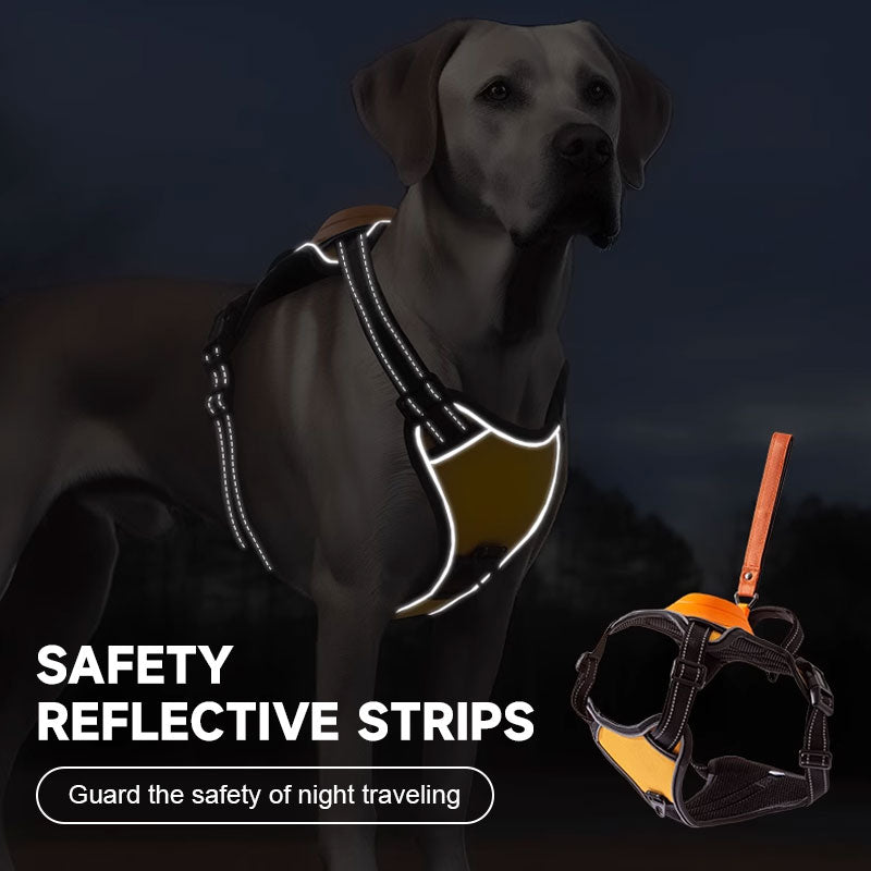 ๐พ2 in 1 Dog Harness with Integrated Leash