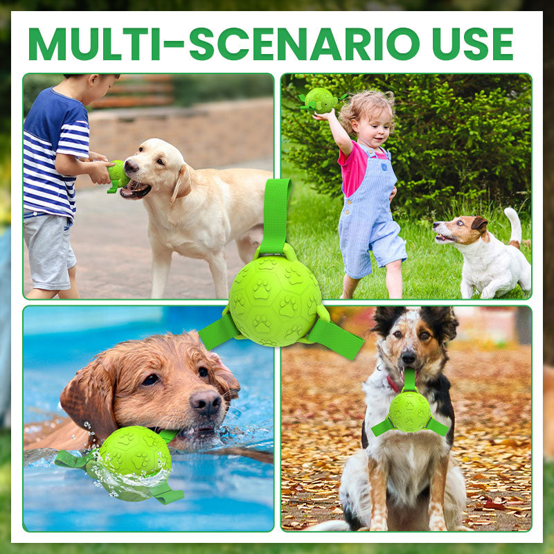 ๐พPet Rubber Webbing Toy Ball