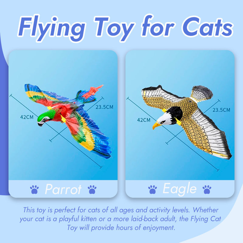 ๐พCat Flying Toy
