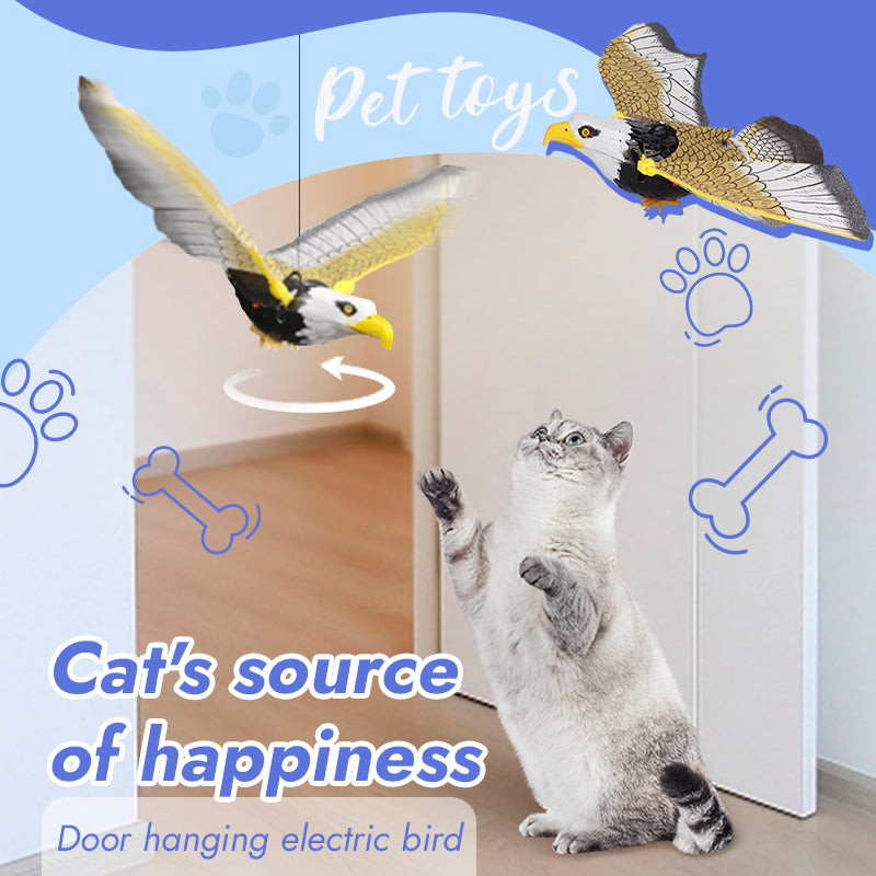 ๐พCat Flying Toy