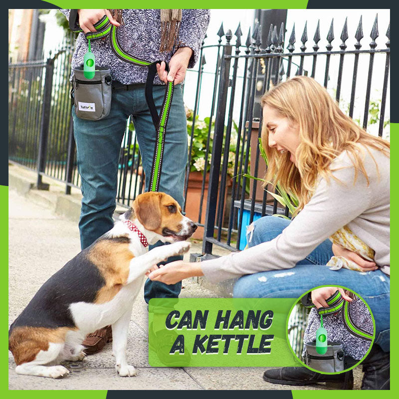🐾Explosion-Proof Punch Retractable Pet Leash