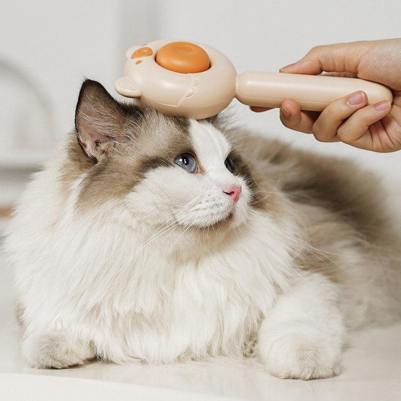 ๐พPet Massage Hair Removal Comb