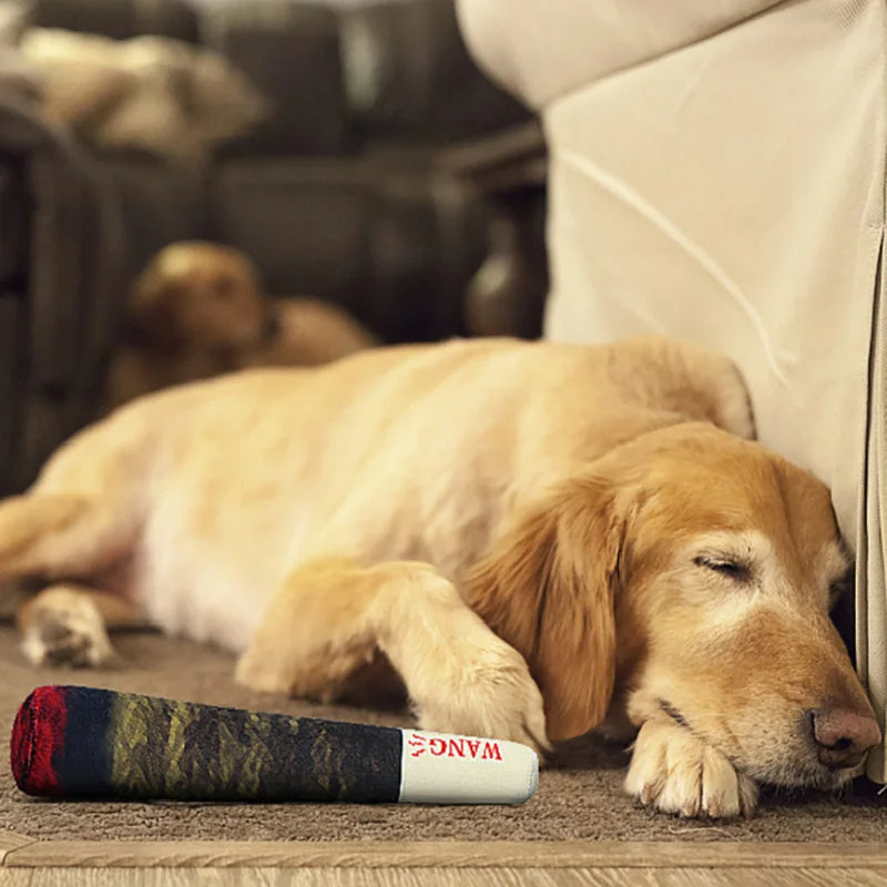 ๐พPet Teething Toys