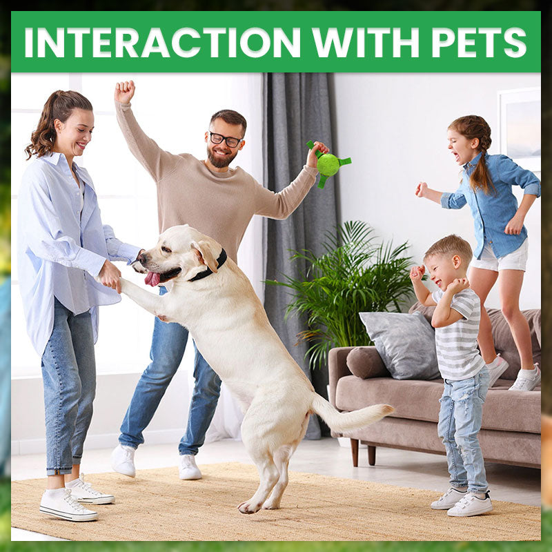๐พPet Rubber Webbing Toy Ball