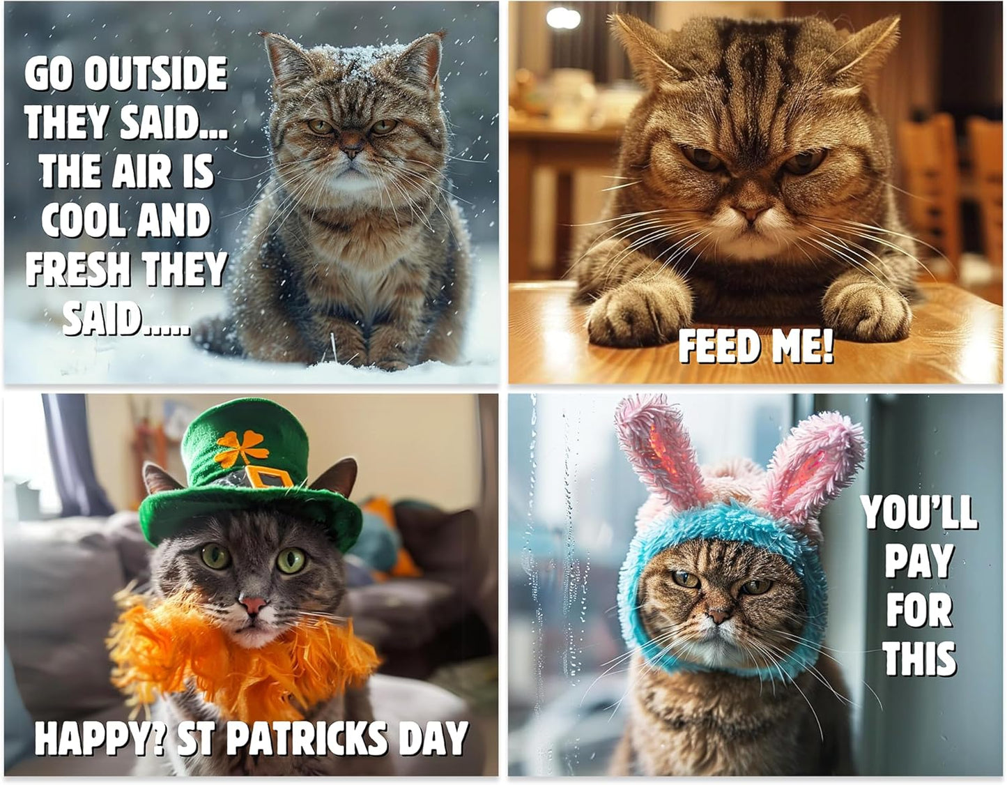 ๐พ2025 Peed-Off Cats Calendar - Funny Cat Themed Gifts For Cat Lovers