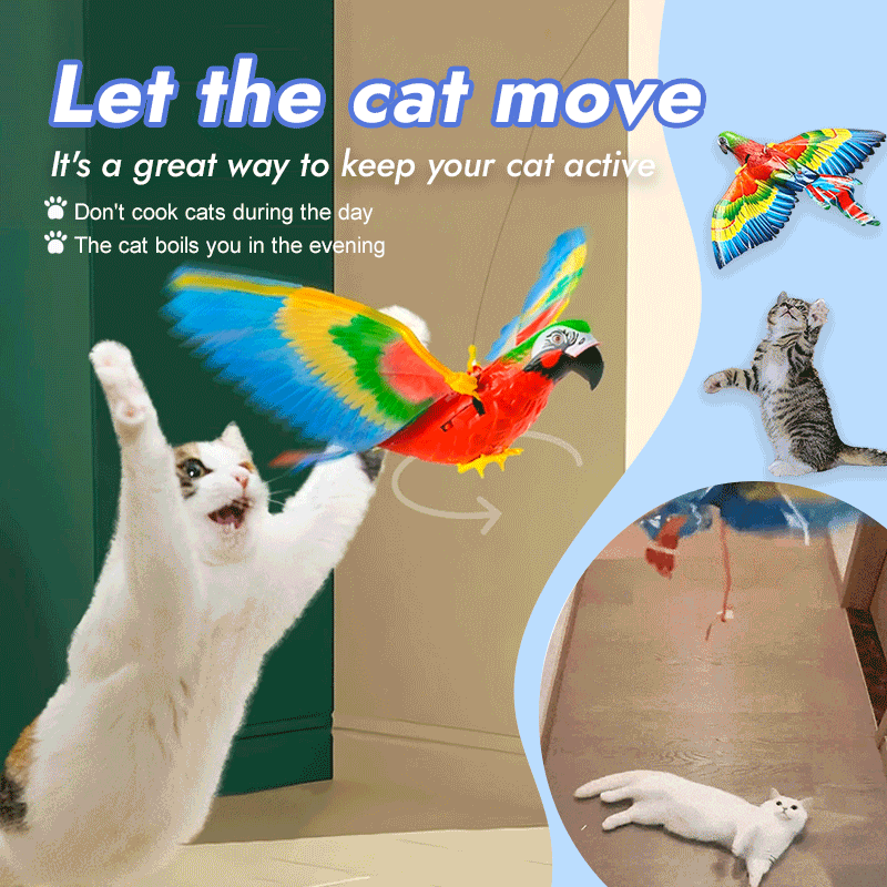 ๐พCat Flying Toy