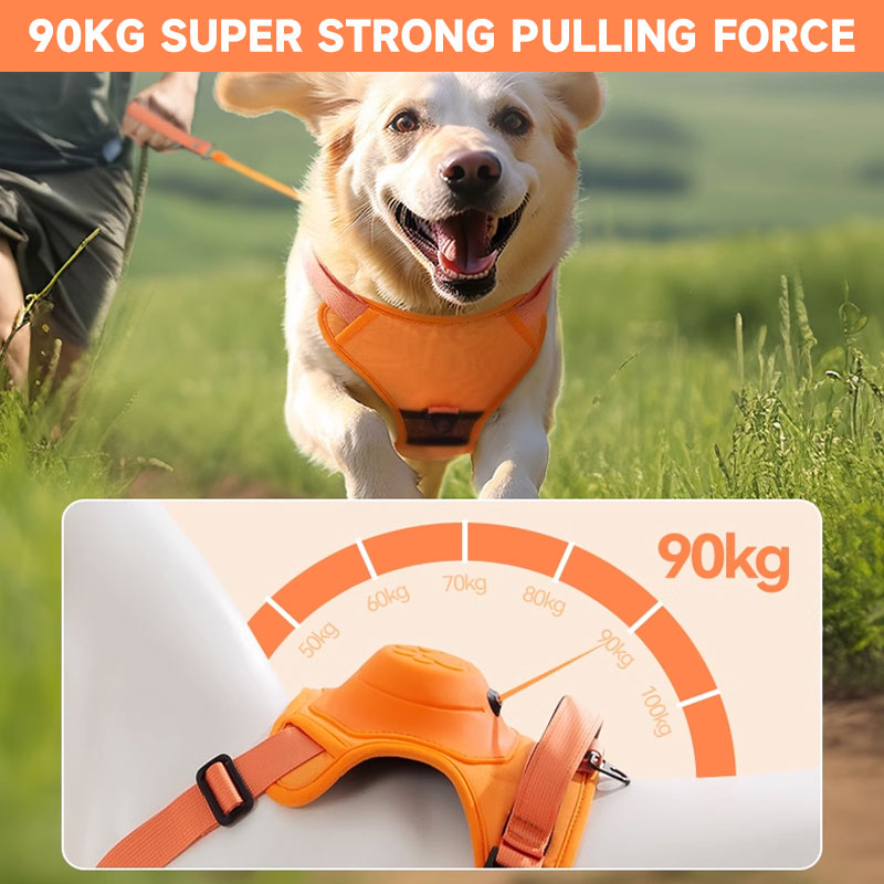 ๐พ2 in 1 Dog Harness with Integrated Leash