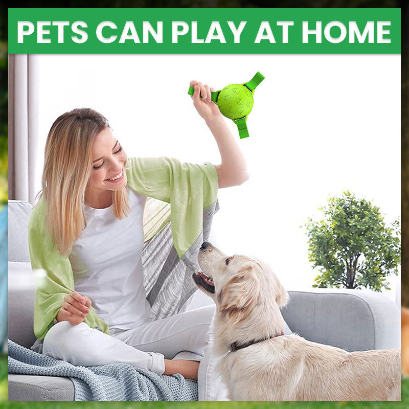 ๐พPet Rubber Webbing Toy Ball