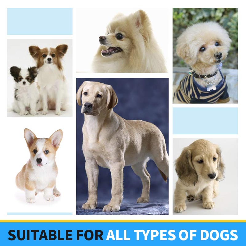 ๐พPet Air Filtration Mask for Dog
