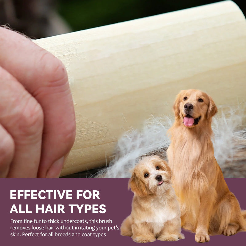 ๐พPet Hair Removal Brush
