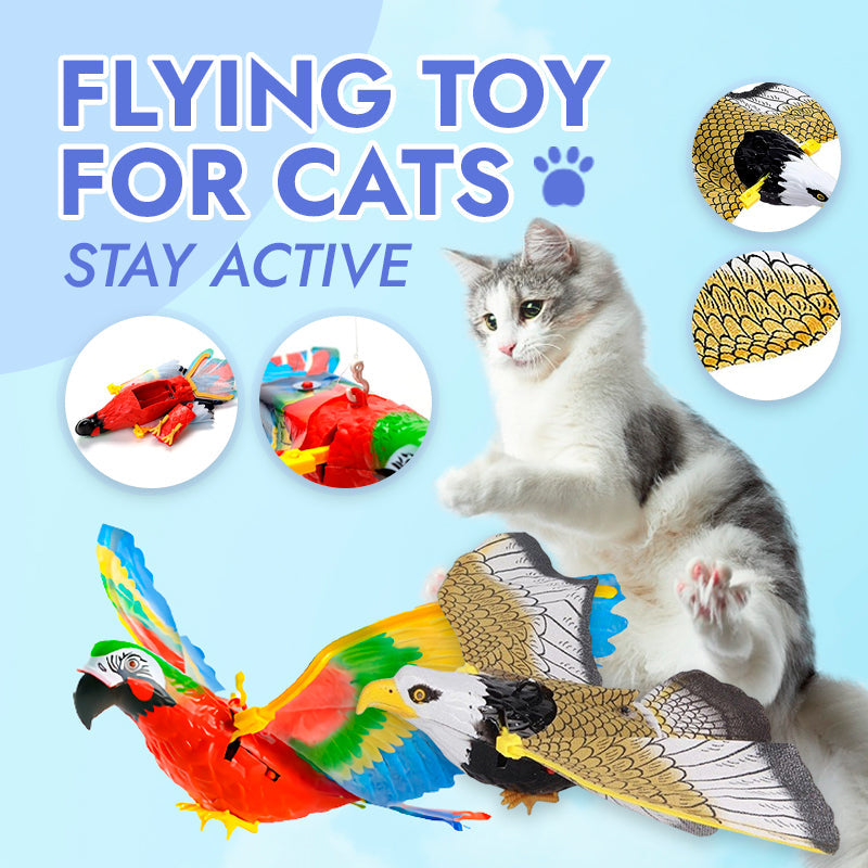 ๐พCat Flying Toy