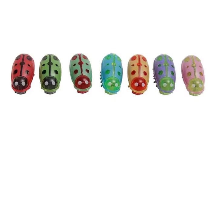 🐱Pet Electric Bug Toy🐞