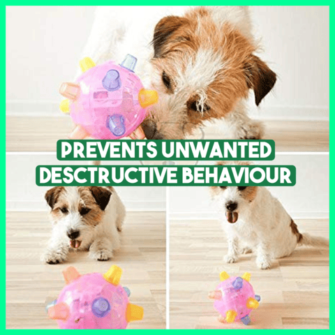 š»Jumping Activation Ball For Dogs And Catsš¶