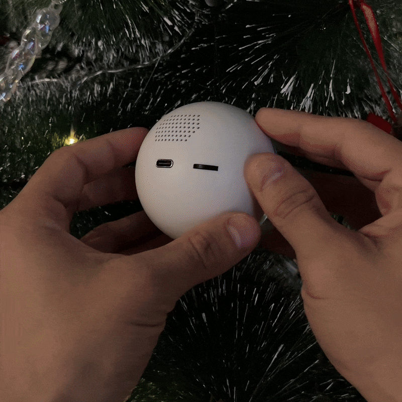 🎄 Christmas Flash Sale 🎅  Memory Globe