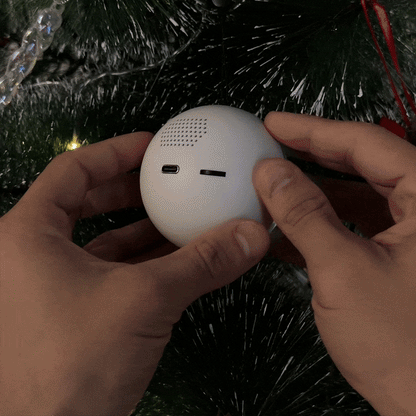 🎄 Christmas Flash Sale 🎅  Memory Globe