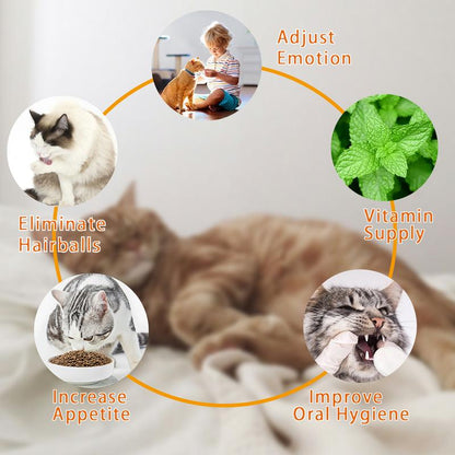Multi-Functional Cat Wellness Treat