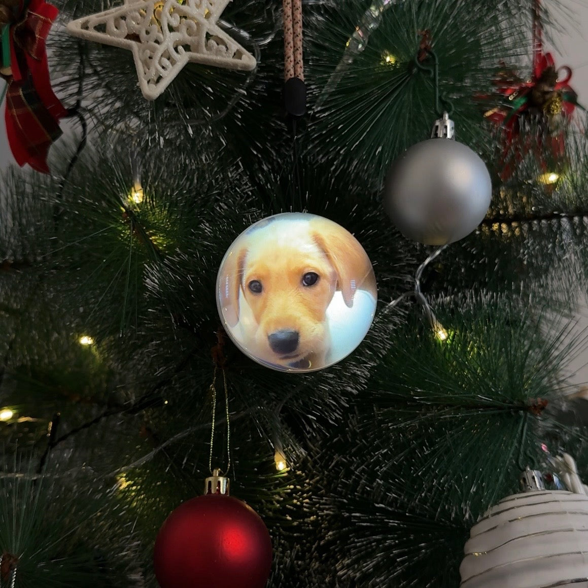 🎄 Christmas Flash Sale 🎅  Memory Globe