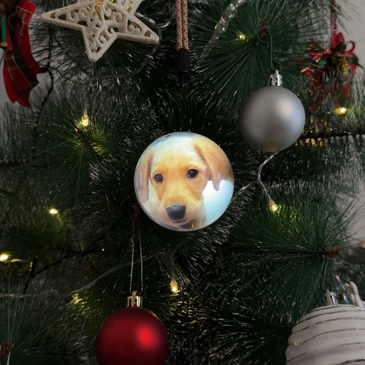 🎄 Christmas Flash Sale 🎅  Memory Globe