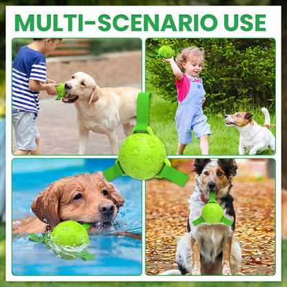 🐾Pet Rubber Webbing Toy Ball