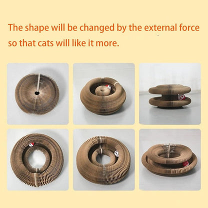 Magic Organ Cat Scratcher