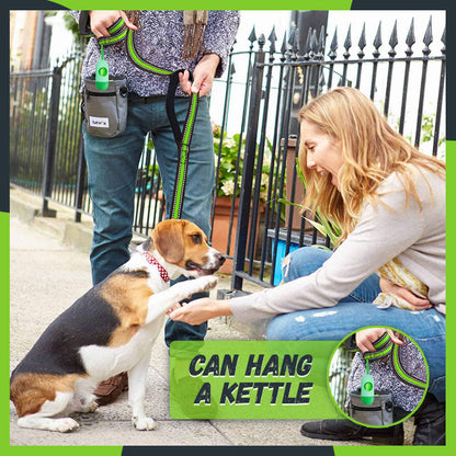 🐾Explosion-Proof Punch Retractable Pet Leash