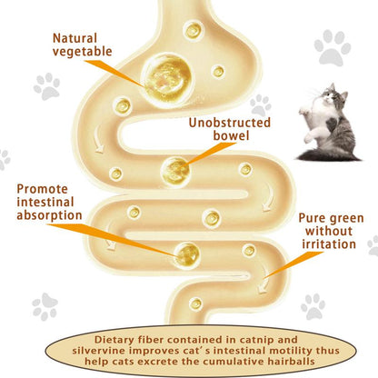 Multi-Functional Cat Wellness Treat