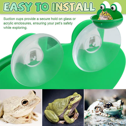 🐸Tree Frog Climbing Platform