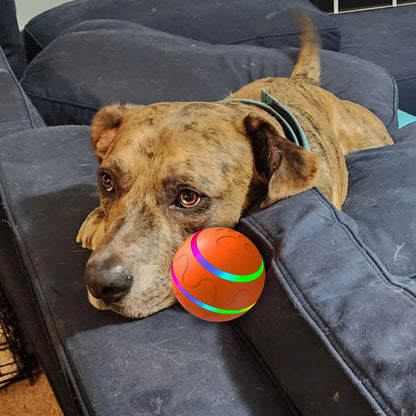 🐾Pet Virus Bouncing Ball