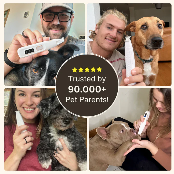 🔥2025 New Pet Paw Trimmer!The ceramic blade won't hurt them at all! -- Low Noise,Waterproof, Precision Grooming