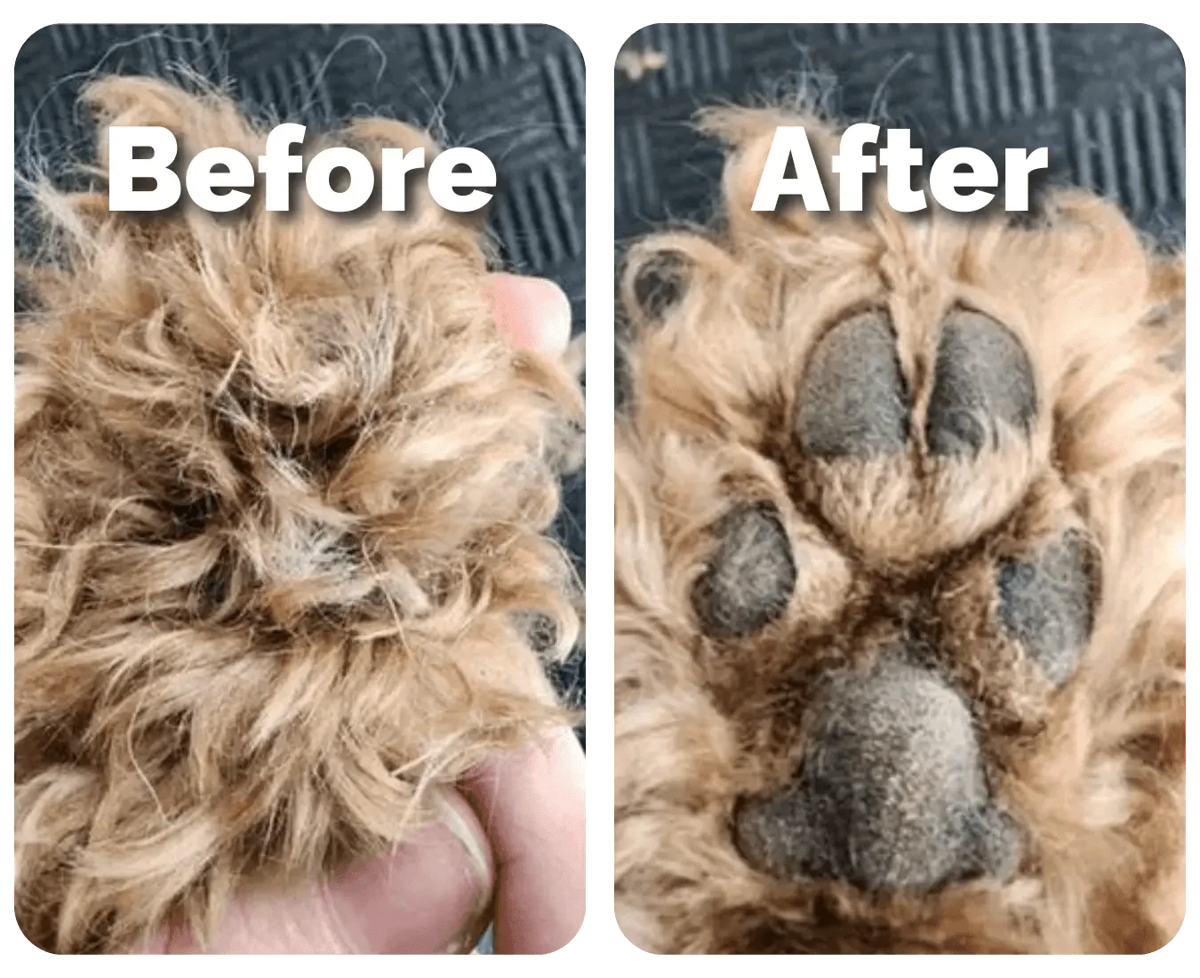 🔥2025 New Pet Paw Trimmer!The ceramic blade won't hurt them at all! -- Low Noise,Waterproof, Precision Grooming